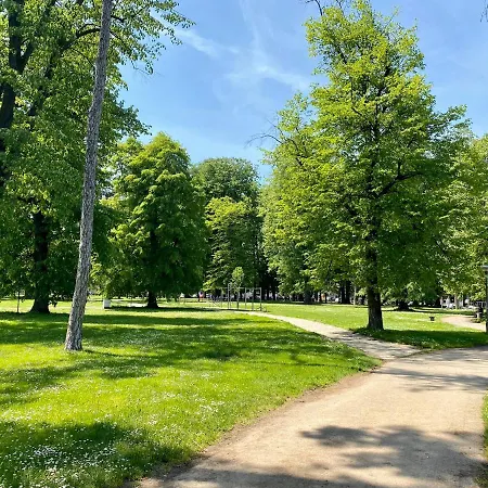 Park & Play